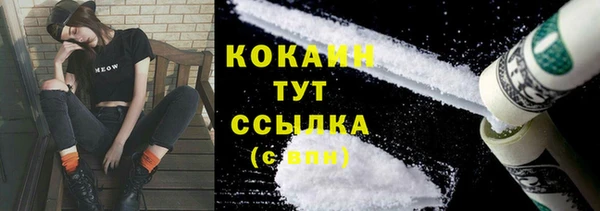 сатива Волоколамск