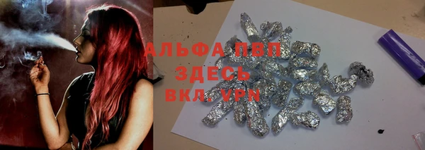 сатива Волоколамск