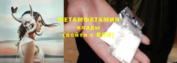 сатива Волоколамск