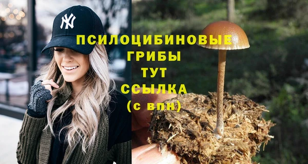 дживик Волосово