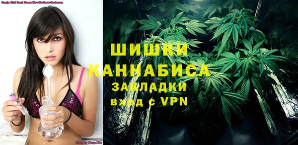 сатива Волоколамск