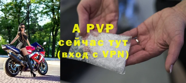 сатива Волоколамск