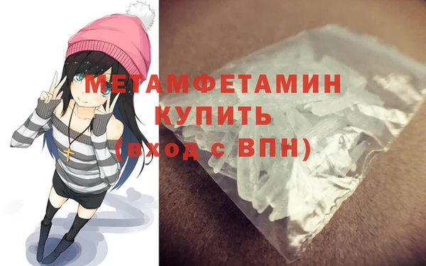 сатива Волоколамск