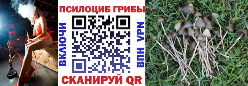 Галлюциногенные грибы мухоморы  Юрюзань 